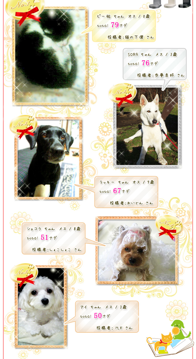 ��1��y�b�g�ʐ^�كI�[�v�j���O�L�����y�[��