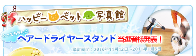 ��2��~�ł����C���y�b�g�R���e�X�g