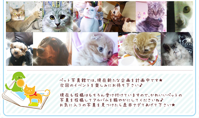 ��2��~�ł����C���y�b�g�R���e�X�g