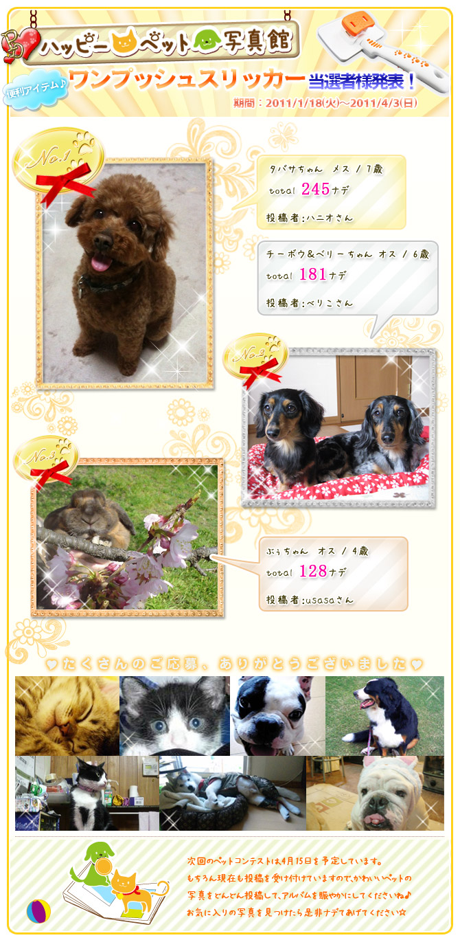 �t�悱����y�b�g�R���e�X�g�I