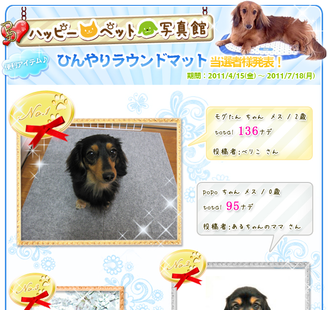 �z�b�g�T�}�[�R���e�X�g�I�Ђ��胉�E���h�}�b�g���I�җl���\