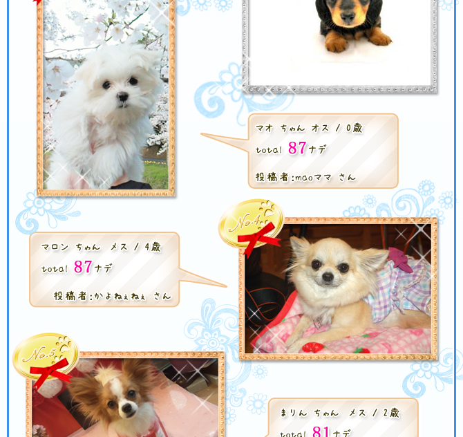 �z�b�g�T�}�[�R���e�X�g�I�Ђ��胉�E���h�}�b�g���I�җl���\