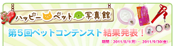 ��5��y�b�g�R���e�X�g�􌋉ʔ��\�I