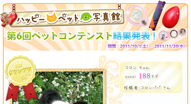 ��6��y�b�g�R���e�X�g�􌋉ʔ��\�I