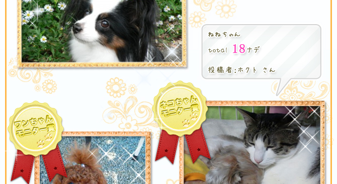 ��6��y�b�g�R���e�X�g�􌋉ʔ��\�I