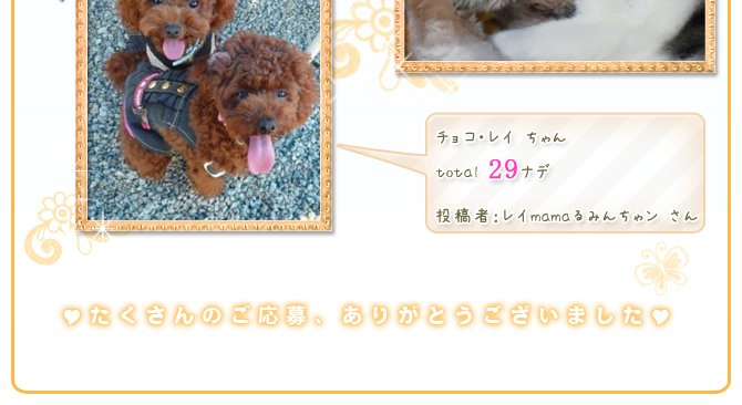 ��6��y�b�g�R���e�X�g�􌋉ʔ��\�I