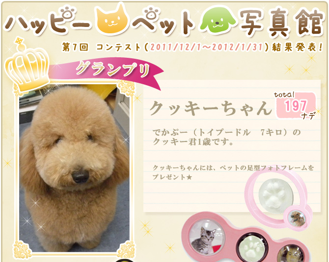 ��7��y�b�g�R���e�X�g�􌋉ʔ��\�I