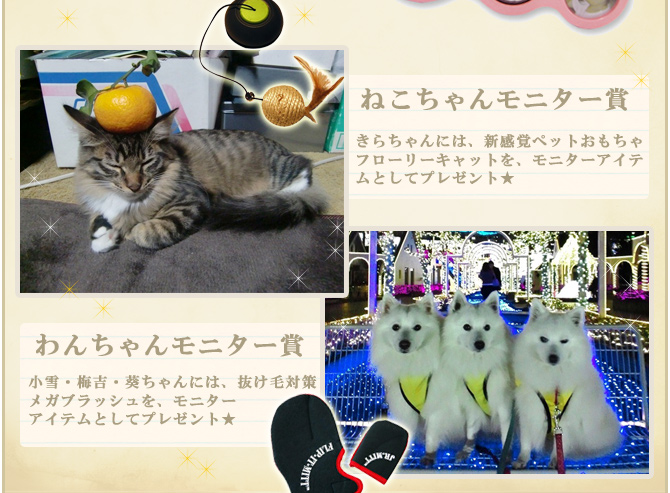 ��7��y�b�g�R���e�X�g�􌋉ʔ��\�I