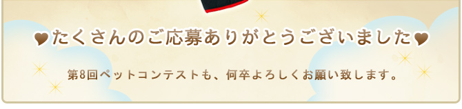 ��7��y�b�g�R���e�X�g�􌋉ʔ��\�I