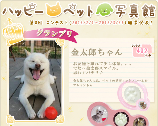 ��8��y�b�g�R���e�X�g�􌋉ʔ��\�I