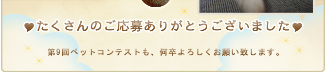 ��8��y�b�g�R���e�X�g�􌋉ʔ��\�I