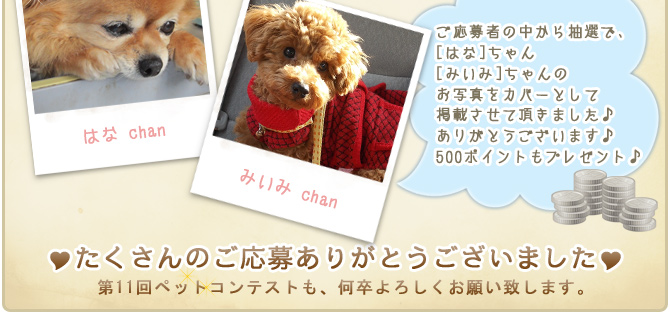 ��10��y�b�g�R���e�X�g�􌋉ʔ��\�I