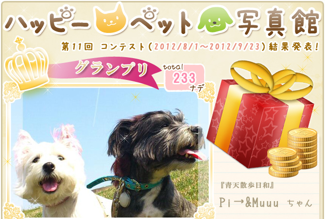 ��11��y�b�g�R���e�X�g�􌋉ʔ��\�I