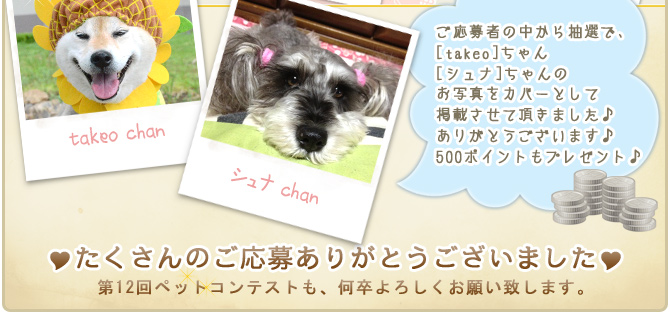 ��11��y�b�g�R���e�X�g�􌋉ʔ��\�I