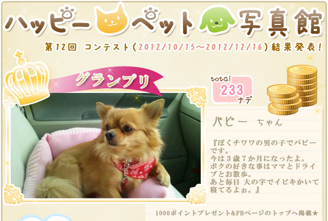 ��12��y�b�g�R���e�X�g�􌋉ʔ��\�I