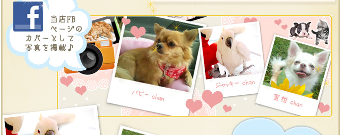 ��12��y�b�g�R���e�X�g�􌋉ʔ��\�I