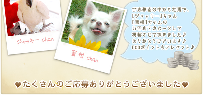 ��12��y�b�g�R���e�X�g�􌋉ʔ��\�I