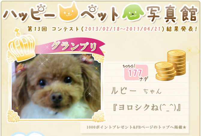 ��13��y�b�g�R���e�X�g�􌋉ʔ��\�I