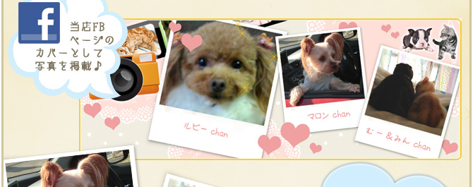 ��13��y�b�g�R���e�X�g�􌋉ʔ��\�I