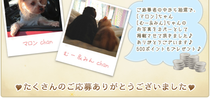 ��13��y�b�g�R���e�X�g�􌋉ʔ��\�I