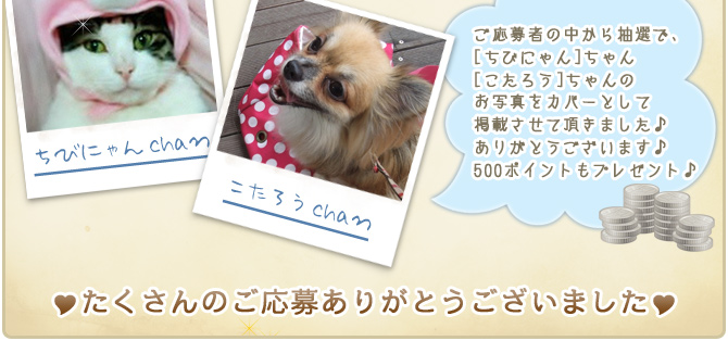 ��14��y�b�g�R���e�X�g�􌋉ʔ��\�I