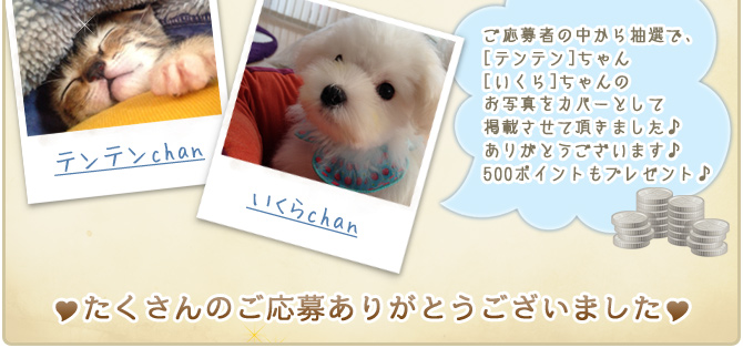 ��15��y�b�g�R���e�X�g�􌋉ʔ��\�I