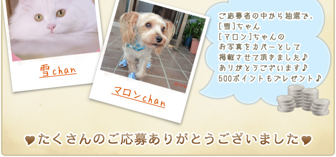 ��16��y�b�g�R���e�X�g�􌋉ʔ��\�I