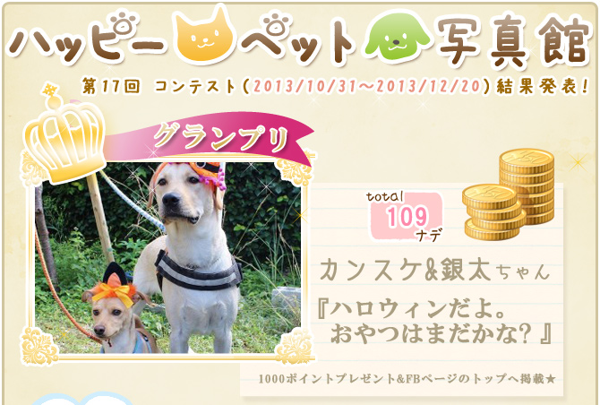 ��17��y�b�g�R���e�X�g�􌋉ʔ��\�I