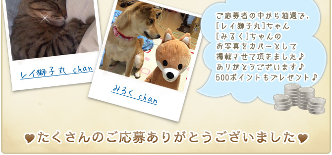 ��17��y�b�g�R���e�X�g�􌋉ʔ��\�I