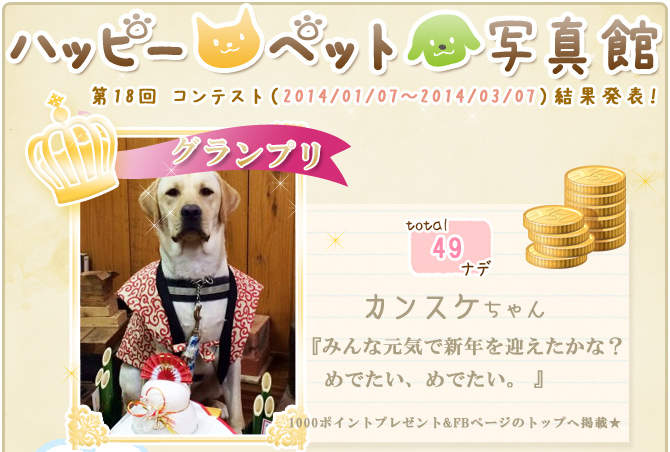 ��18��y�b�g�R���e�X�g�􌋉ʔ��\�I