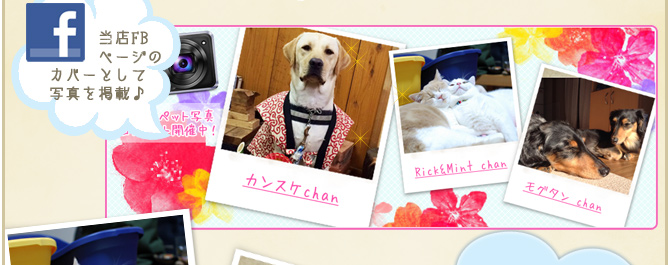 ��18��y�b�g�R���e�X�g�􌋉ʔ��\�I