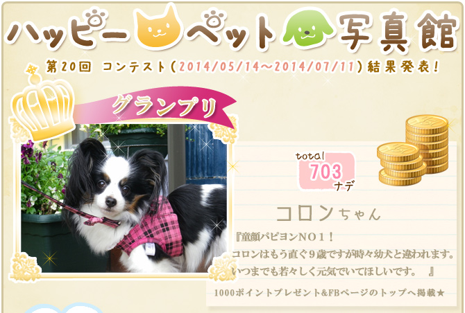 ��20��y�b�g�R���e�X�g�􌋉ʔ��\�I