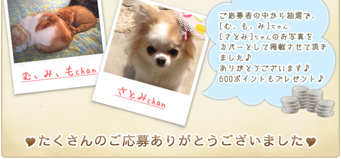 ��20��y�b�g�R���e�X�g�􌋉ʔ��\�I