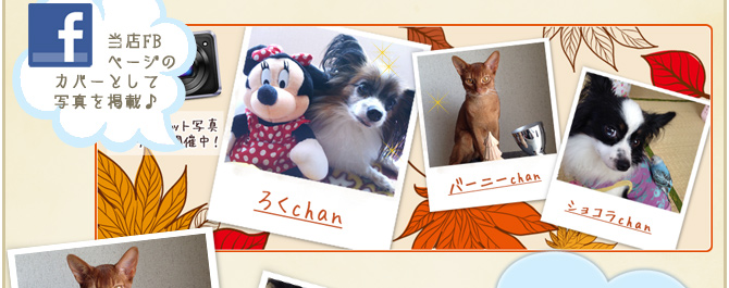 ��21��y�b�g�R���e�X�g�􌋉ʔ��\�I