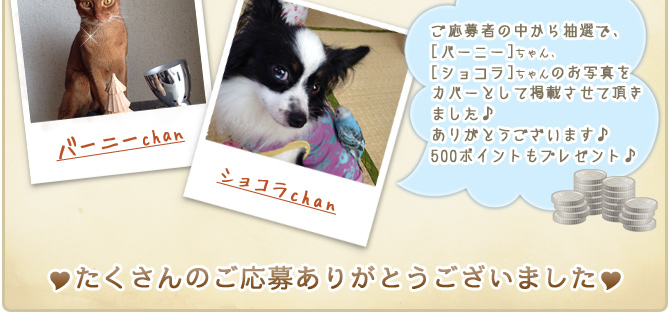 ��21��y�b�g�R���e�X�g�􌋉ʔ��\�I