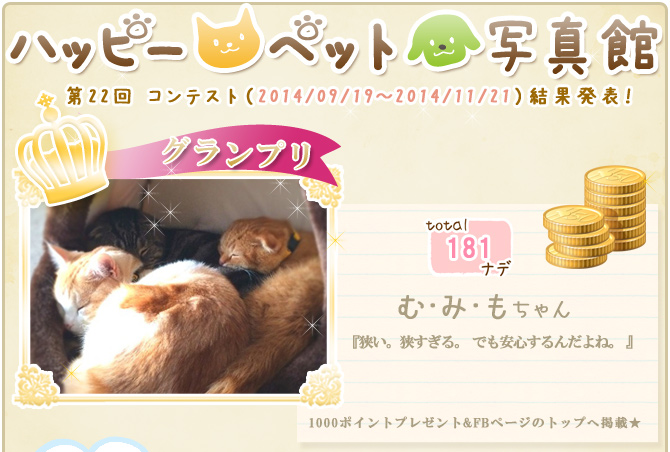 ��22��y�b�g�R���e�X�g�􌋉ʔ��\�I