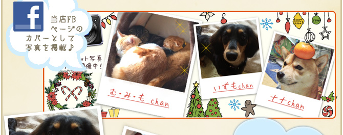 ��22��y�b�g�R���e�X�g�􌋉ʔ��\�I