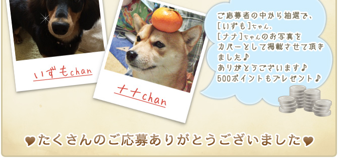 ��22��y�b�g�R���e�X�g�􌋉ʔ��\�I