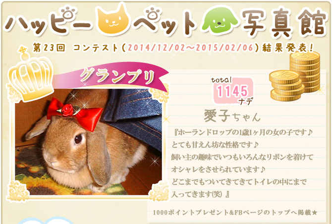 ��23��y�b�g�R���e�X�g�􌋉ʔ��\�I