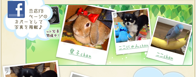 ��23��y�b�g�R���e�X�g�􌋉ʔ��\�I