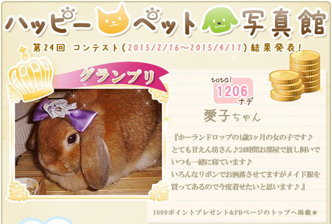 ��24��y�b�g�R���e�X�g�􌋉ʔ��\�I