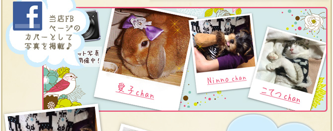 ��24��y�b�g�R���e�X�g�􌋉ʔ��\�I