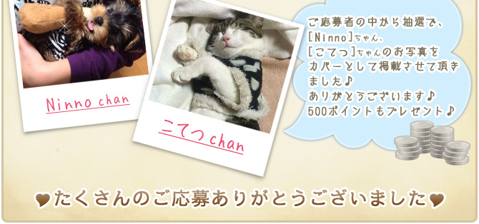 ��24��y�b�g�R���e�X�g�􌋉ʔ��\�I