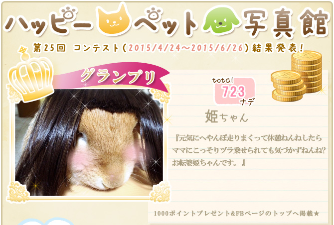 ��25��y�b�g�R���e�X�g�􌋉ʔ��\�I