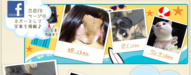 ��25��y�b�g�R���e�X�g�􌋉ʔ��\�I