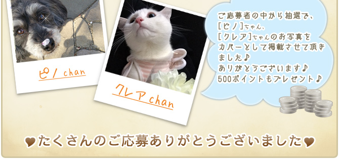 ��25��y�b�g�R���e�X�g�􌋉ʔ��\�I