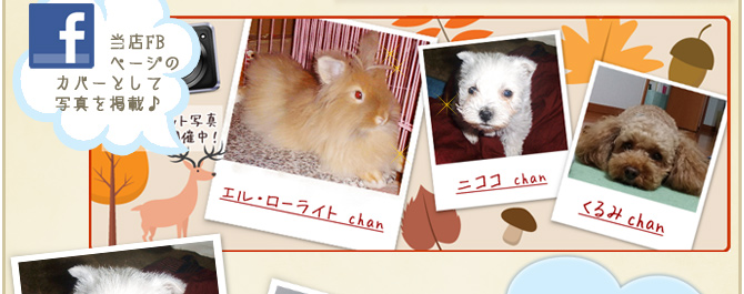 ��26��y�b�g�R���e�X�g�􌋉ʔ��\�I