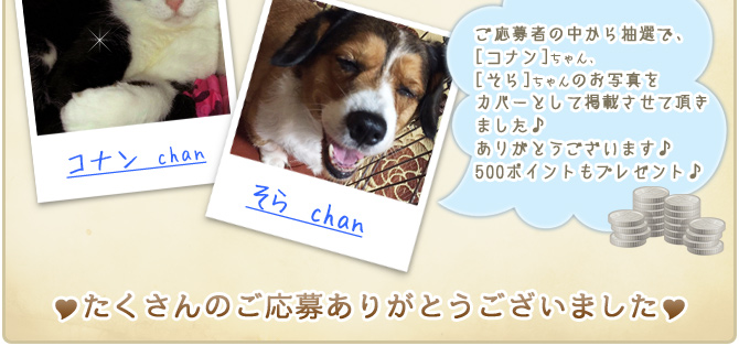 ��27��y�b�g�R���e�X�g�􌋉ʔ��\�I