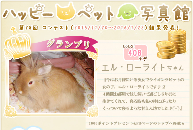 ��28��y�b�g�R���e�X�g�􌋉ʔ��\�I