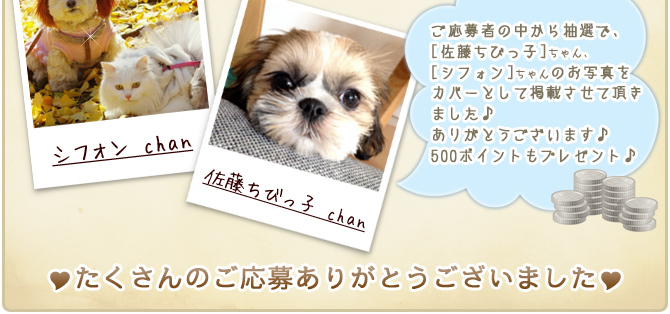 ��28��y�b�g�R���e�X�g�􌋉ʔ��\�I